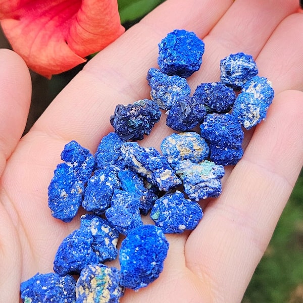 Azurit Blaubeere Crystal Specimen, blauer Azurit Stein Knötchen