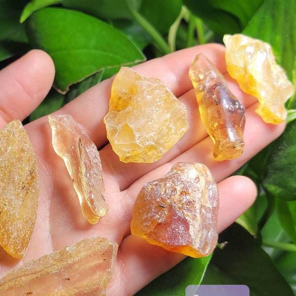 Natural Amber / Amber Crystal / Amber Stone / Rough Amber / Amber Specimen / Raw Amber / Amber Pocket Stone / Fossilized Tree  / Copal