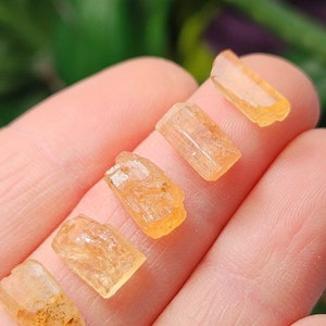 May include: Five small, translucent, orange-yellow raw gemstone crystals with a rectangular, elongated shape and natural faceted textures. The stones are arranged in a line, showcasing their varying clarity and internal crystalline structures.