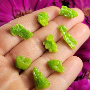 May include: A collection of eight green, raw, and unpolished crystals. The crystals are various shapes and sizes, and have a rough, natural texture.