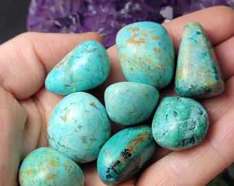 May include: A collection of eight turquoise tumbled stones, each with a unique pattern of veins and markings. The stones are a mix of light and dark turquoise colors, with some having a greenish hue.
