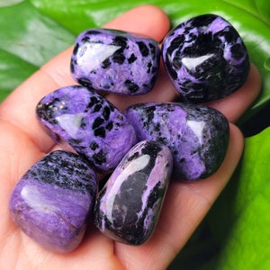 Charoite Crystal / Charoite Stone / Tumbled Charoite / Charoite Tumbled / Purple Charoite / Charoite Chips / Charoite / Polished Charoite