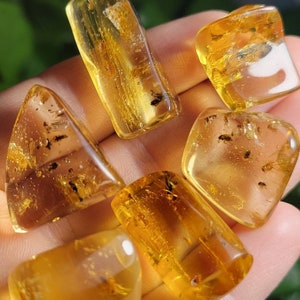 Amber with Bugs - Natural Amber - Amber with Insects - Insect Inclusion - Amber Crystal - Polished Amber - Amber Specimen - Altar Stone