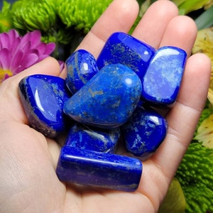 Lapis Lazuli Crystal - Tumbled Lapis Lazuli - Lapis Lazuli Stone - Tumbled Lapis - Lapis Lazuli - Blue Lapis - Lapis Stone - Lapis Crystal