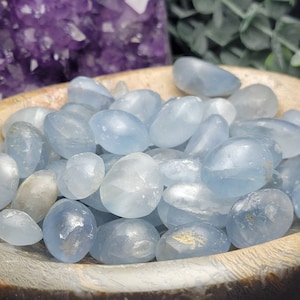 May include: A bowl filled with light blue tumbled celestite stones. The stones are smooth and polished, with a slightly cloudy appearance.