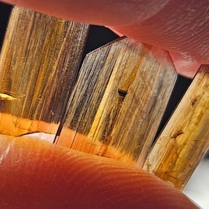 May include: Four translucent brown and gold crystals with striations, held in a hand.