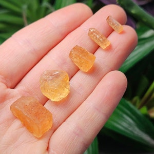 May include: Four small, translucent, orange-yellow crystals of varying shapes and sizes arranged in a line. The stones exhibit a natural, raw texture with visible facets and internal inclusions, displaying a warm, vibrant amber hue throughout.