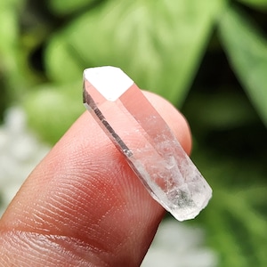 May include: A clear quartz crystal point, held between fingers, with a faceted tip. The crystal is transparent with subtle internal inclusions. The background is blurred green foliage.