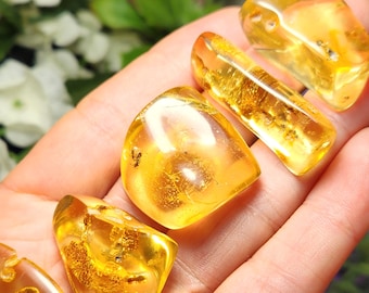 Amber Specimen with Insects: Natural Polished Amber Fossils & Bug Inclusions