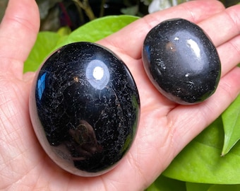 May include: Two black obsidian palm stones, one larger than the other, with a smooth, polished surface. The stones are held in a hand against a green leafy background.