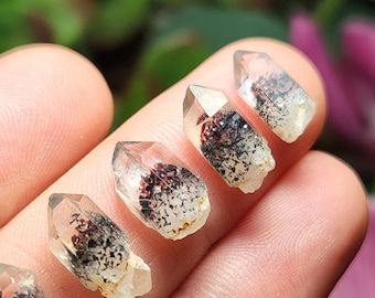 May include: Six small, clear quartz crystal points with black and red inclusions. The points are arranged in a row on a hand.