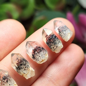 May include: Six small, clear quartz crystal points with black and red inclusions. The points are arranged in a row on a hand.