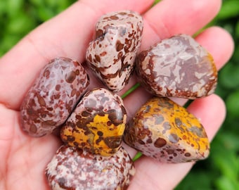 Leopard Skin Jasper - Leopard Stone - Rhyolite Jasper - Leopard Skin Jasper Tumble - Jasper Crystal - Tumbled Jasper - Leopard Jasper Tumble