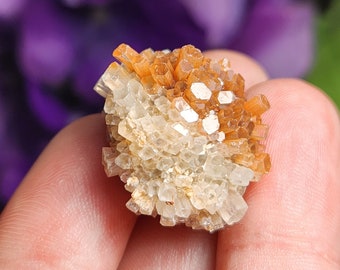 Bi-Color Aragonite Star Cluster Specimen: Moroccan Starburst Crystal