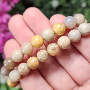 Fossilized Coral Bracelet - Fossilized Coral Beads - Agatized Coral - Coral Bracelet - Beaded Bracelet - Coral Jewelry - Fossilized Coral
