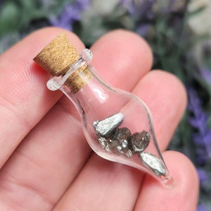 Argentinian Meteorite Fragments in Glass Jar: Campo del Cielo Meteorite