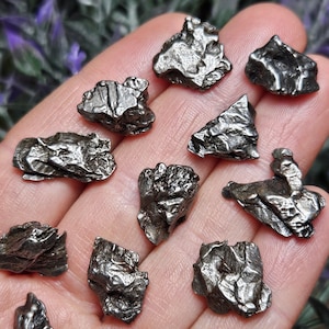 May include: A collection of 14 small, irregularly shaped, dark gray meteorite fragments. The fragments have a rough, textured surface and appear to be metallic.