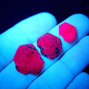 May include: Three red ruby crystals, with a deep red color, are shown in a hand. The crystals are rough and have a natural, unpolished appearance.