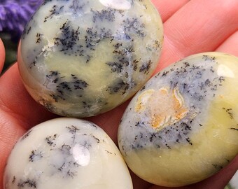 Könnte beinhalten: Drei polierte, oval geformte Dendriten-Opale mit einer glatten, glänzenden Oberfläche. Die Steine haben eine cremefarbene, hellgelbe und cremeweiße Grundfarbe mit komplexen, dunkelbraunen bis schwarzen farnartigen Dendriteneinschlüssen.