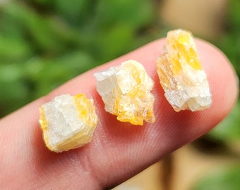 Pode incluir: São exibidos três pequenos cristais brutos, com uma mistura de tons brancos e amarelos. Os cristais são segurados em um dedo, com um fundo verde desfocado de folhagem. Os cristais têm uma aparência natural e bruta.