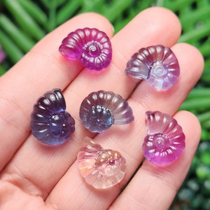Peut inclure: Six petits fossiles d'ammonites en pierres pr&eacute;cieuses sculpt&eacute;es, dans des tons de violet, de bleu et de rose. Les fossiles sont tenus dans une main, avec un arri&egrave;re-plan vert et violet flou. Chaque fossile a un motif en spirale.