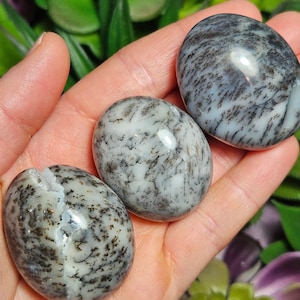 Dendritic Opal Crystal - Palm Stone - Polished Dendritic Opal - Dendritic Opal Stone - Natural Dendritic Opal - Dendritic Opal Gemstone