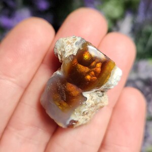 May include: A close-up of a brown and white agate with iridescent orange and yellow colors. The agate is rough and has a natural, unpolished finish.
