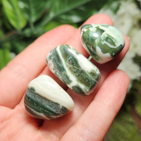 Green Sardonyx / Tumbled Sardonyx / Green Sardonyx Stone / Green Sardonyx Crystal / Polished Sardonyx / Sardonyx Tumble / Sardonyx Specimen