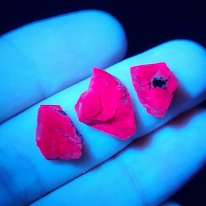 Könnte beinhalten: Drei unregelmäßig geformte, leuchtend rosa Mineralproben mit dunklen Einschlüssen werden gezeigt. Die Mineralien werden vor einem blau getönten Hintergrund gehalten, wahrscheinlich unter UV-Licht. Die raue Textur und die leuchtende Farbe sind auffällig.