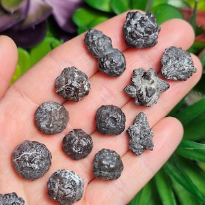 Prophecy Stone Crystal, Egyptian Hematite Pseudomorph Crystal, Mineral Specimen - Marcasite Goethite Nodules