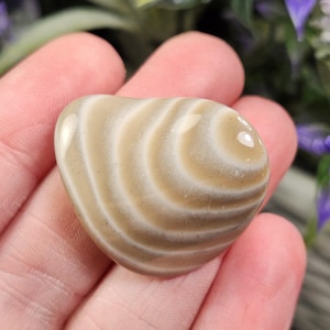 以下が含まれることがあります： ベージュとクリーム色の帯が渦巻く模様の、磨かれた楕円形の石。石は滑らかで光沢があり、自然で有機的な外観をしています。石は手で持たれており、背景には紫色の花があります。