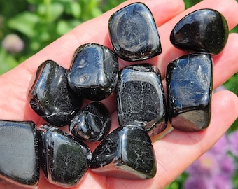 Tumbled Jet Crystal Specimen: Polished Black Lignite Fossil