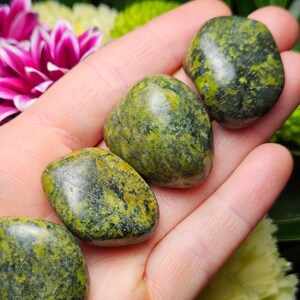 Green Jade Crystal - Jade - Nephrite Jade - Jade Tumble Stone - Tumbled Jade - Jadeite - Jade - Tumbled Jadeite - Green Jade Tumbled Stone