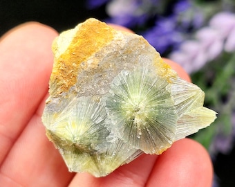 Wavellite Radial Crystal Specimen - Wavellite Specimen - Raw Wavellite - Natural Green Mineral