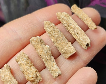 Fulgurite Specimen: Lightning Fused Quartz Sand