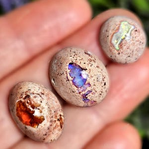 May include: Three oval-shaped opals with a speckled, tan exterior. One opal reveals a vibrant orange interior, another a brilliant blue, and the third a mix of green and yellow. These gemstones are ideal for jewelry making.