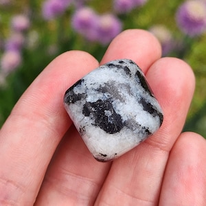 Black Tourmaline in Quartz - Tourmaline Quartz - Black Tourmaline - Quartz Crystal - Tourmalinated Quartz - Polished Quartz & Tourmaline