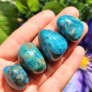 May include: Four polished blue apatite stones, each with unique patterns and a glossy finish, are held in a hand. The stones vary slightly in size and shape, showcasing a range of blue hues with brown inclusions. The background features greenery and a purple flower.