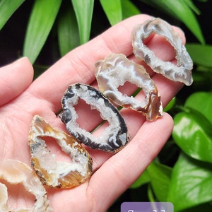 May include: Five small, polished agate slices in shades of brown, white, and black are displayed. The agate pieces have a hollow center with crystal formations. The word "Small" is in a purple box in the lower right corner.