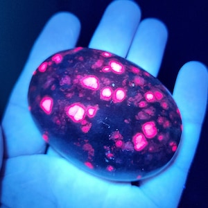 May include: An oval-shaped, dark stone with bright pink and white spots. The stone is held in a hand, and the background is dark blue. The pink spots are scattered across the surface, creating a unique pattern.