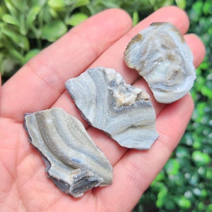 May include: Three pieces of banded agate, a type of chalcedony, with white and gray banding. The agate is translucent and has a smooth, polished surface.