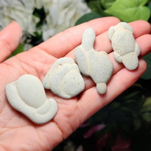 Fairy Stone - Godin Stone - Fairy Stone Concretion - Fairy Stones - Calcietconcretie - Natuurlijke Fairy Stone - Canadian Fairy Stone
