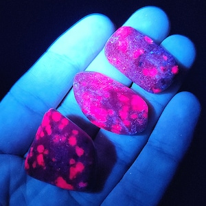 Ruby in Kyanite Crystal, UV Reactive: Tumbled Ruby Stone
