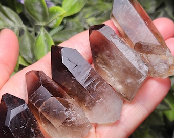 Smoky Quartz Crystal Point from Brazil - Raw Natural Smoky Quartz Terminated Brazilian Crystal