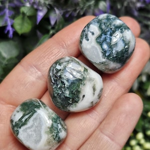 May include: Three polished moss agate stones with smooth, rounded surfaces. Each stone features a distinct pattern of opaque white quartz mixed with deep forest green, moss-like inclusions that create a natural, marbled appearance across the surface.