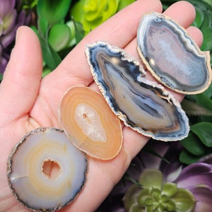 May include: Four agate slices with different patterns and colors. The slices are translucent and have a variety of brown, white, and gray bands. They are arranged in a hand, with the largest slice at the top and the smallest slice at the bottom.
