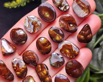 Mexican Fire Agate, Fire Agate Polished Crystal Specimens