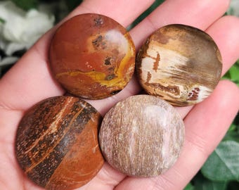 アリゾナの虹色珪化木化石 - Etsy 日本