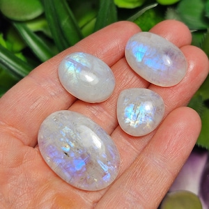May include: Four iridescent moonstone tumbled stones in various shapes and sizes. The stones are a milky white color with a blue iridescent sheen.