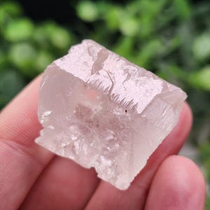 Pink Nirvana Himalayan Quartz Crystal Specimen: Etched Ice Quartz